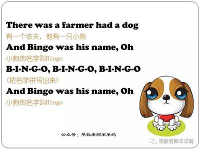 bingo歌词,snh48 bingo歌词  第1张